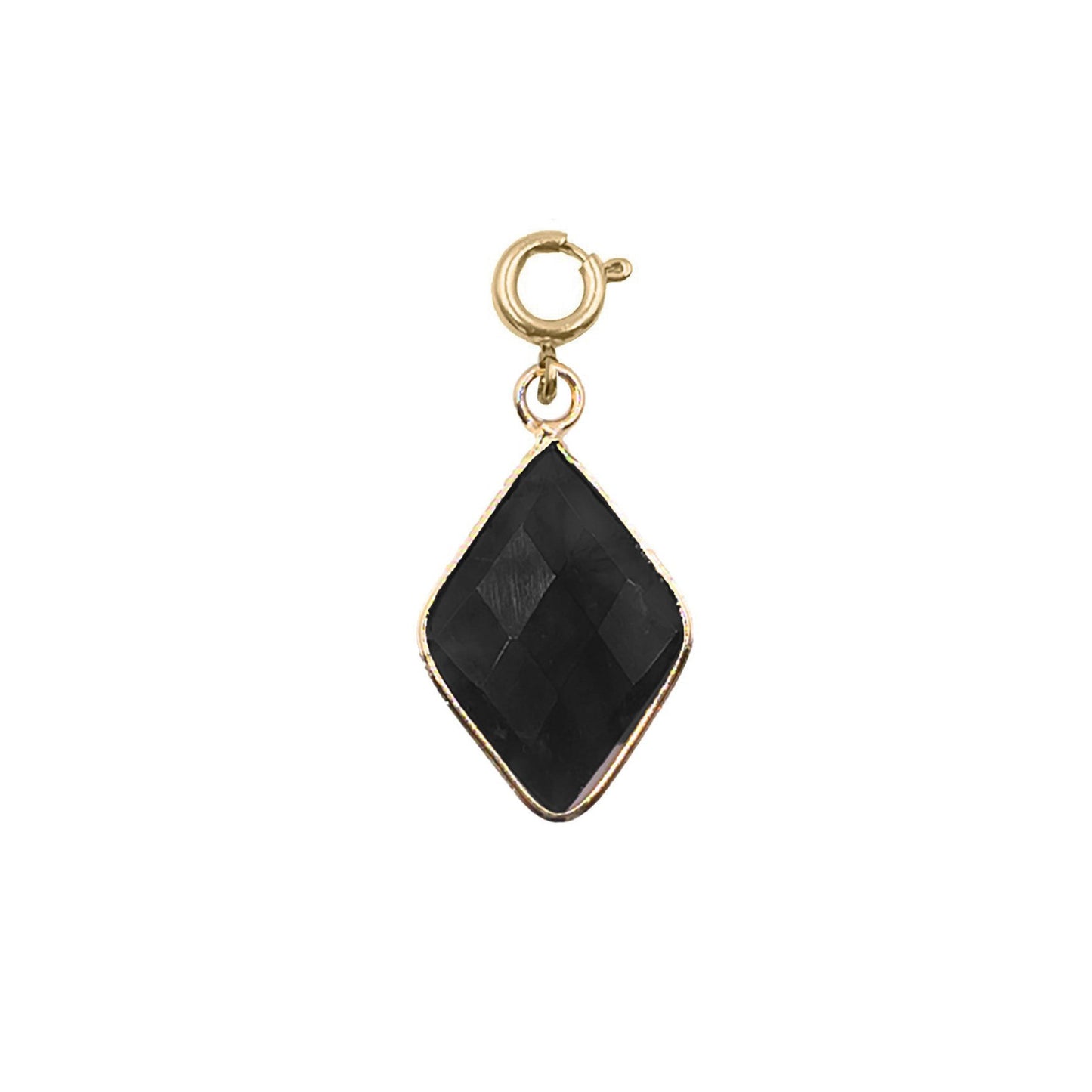 Maker Collection - Raven Diamond Charm