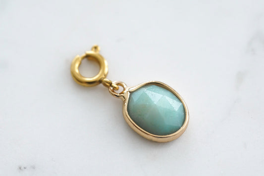 Maker Collection - Solar Oval Charm