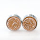 Regal Collection - Silver Amber Stud Earrings