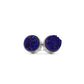 Regal Collection - Silver Phoenix Cosmic Stud Earrings